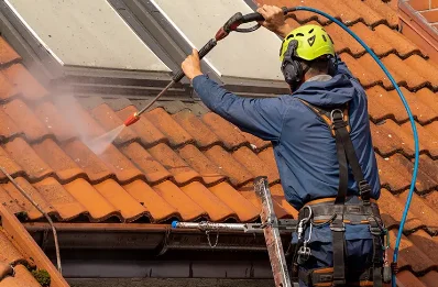 Démoussage et hydrofuge de toiture à Aregno